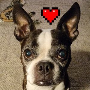 Meet your Poshers, April & Rob~